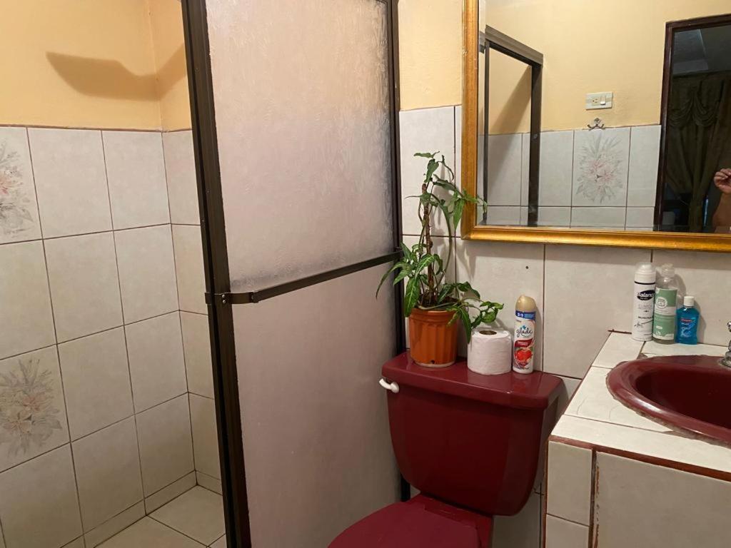 Casa Lupita Alajuela Leilighet Eksteriør bilde